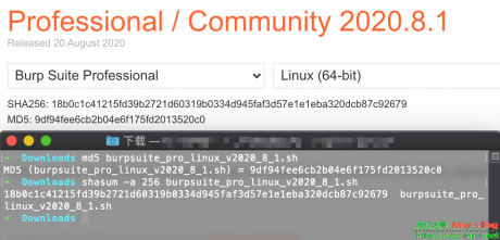 linux_burp_8.1_hash.png